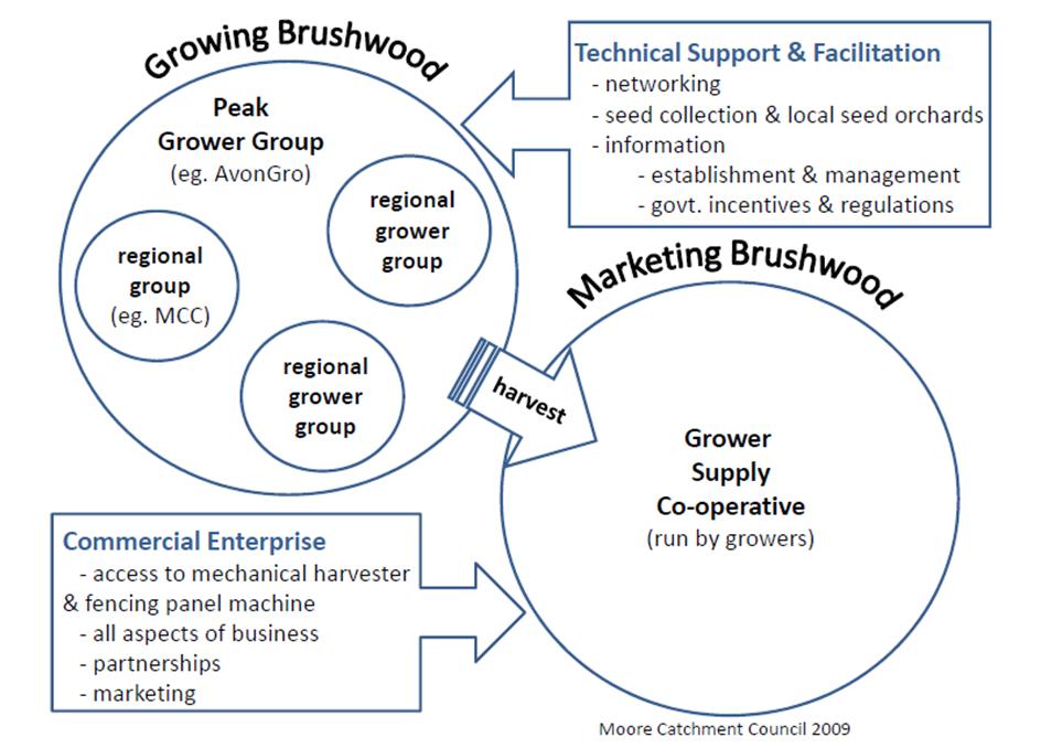 brushwood diagram
