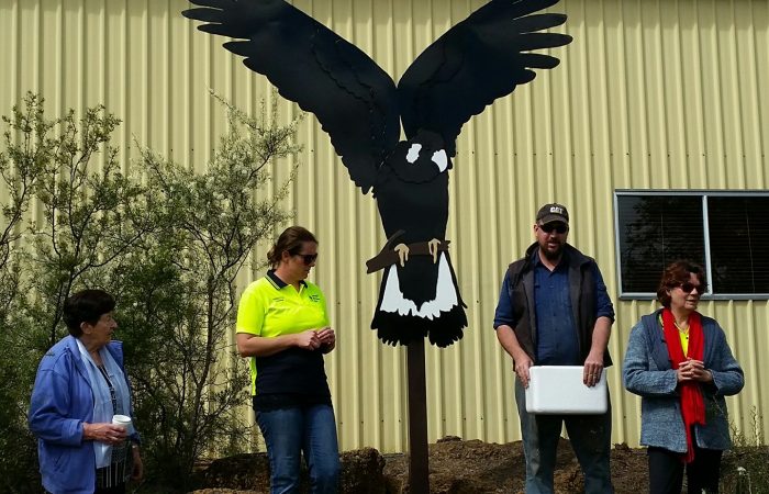 SNRMO A15053 - Planting food for endangered Carnaby's Black-Cockatoo in the Gillingarra IBA