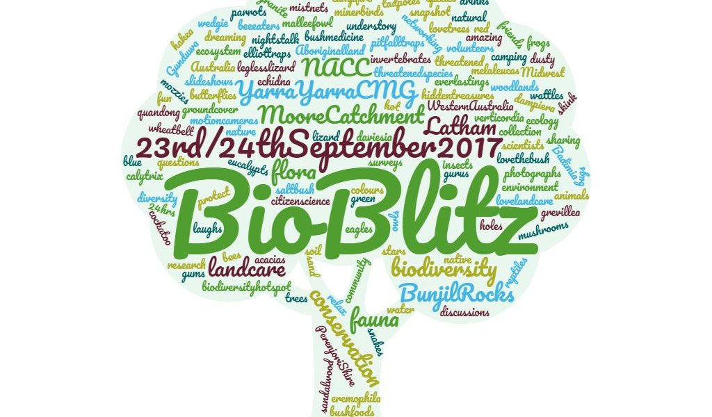 Bunjil Rock BioBlitz results now available