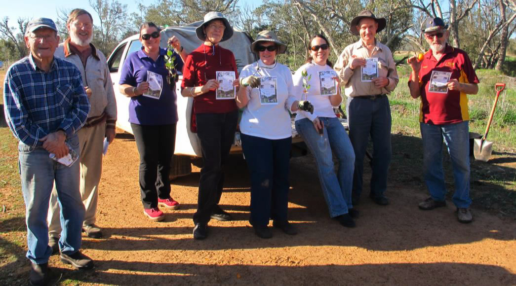 Moora plants for Carnaby’s on National Tree Day