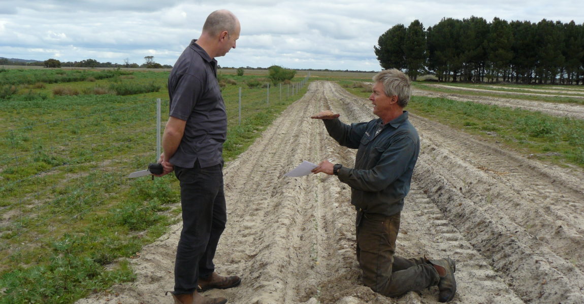 Koojan farmer demonstrates soil amelioration