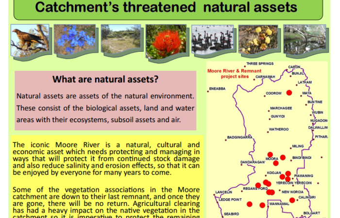 SNRMO 09047 - Recovery and Protection of Moore River Catchments Threatened Natural Assets