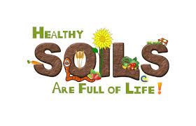 Healthy soil, healthy environment, healthy community