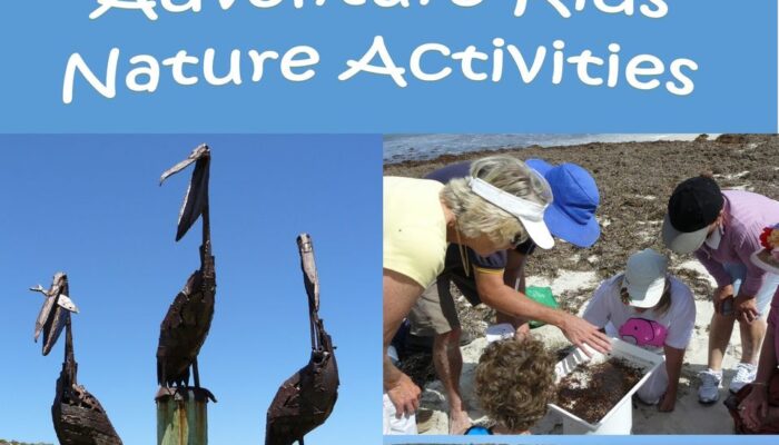 Recover, enhance & promote Guilderton’s coastal dune biodiversity